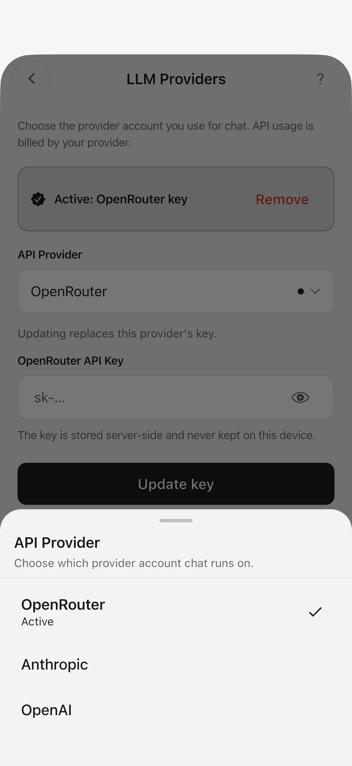 The LLM providers sheet with an active OpenRouter key and Anthropic and OpenAI options
