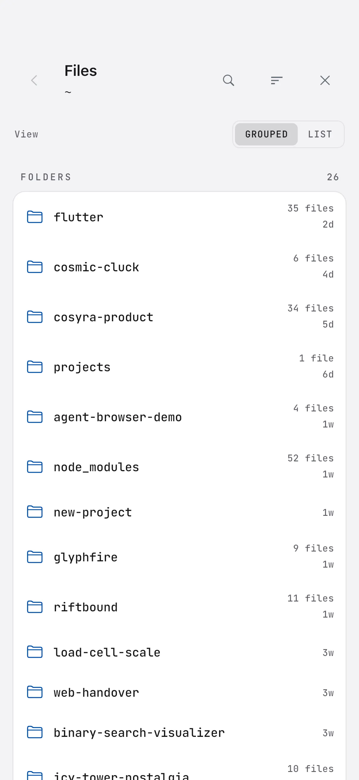 The Cosyra file browser listing project folders on an iPhone