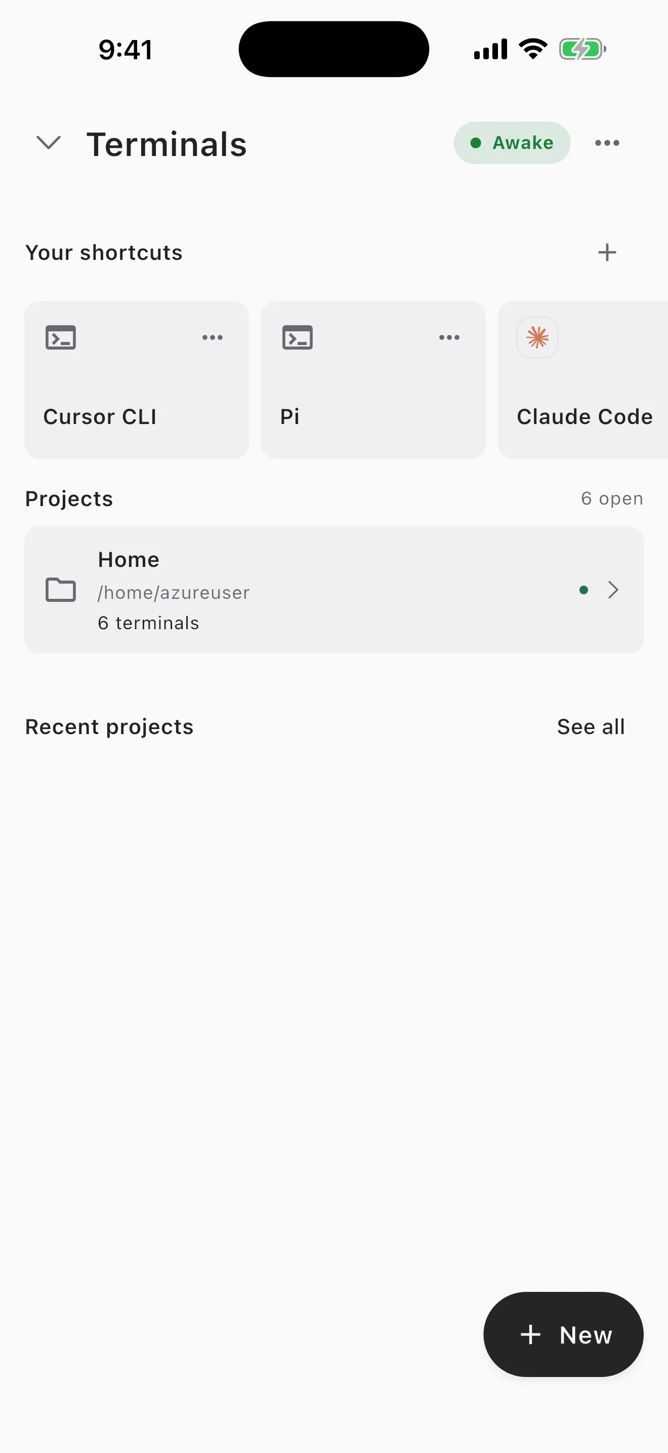 Cosyra Terminals screen with a Pi shortcut card in the Your shortcuts row