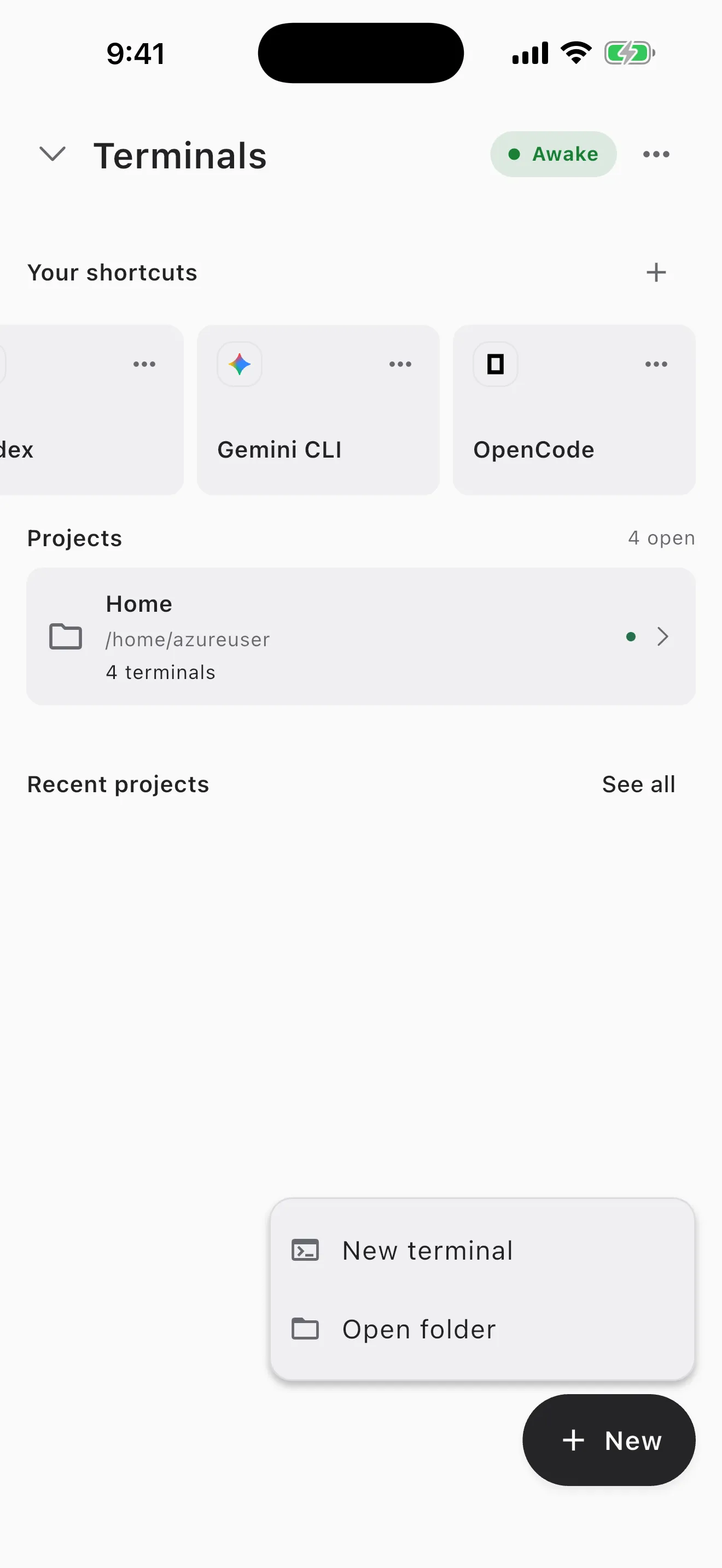 Cosyra Terminals screen with the New button pressed, offering New terminal and Open folder