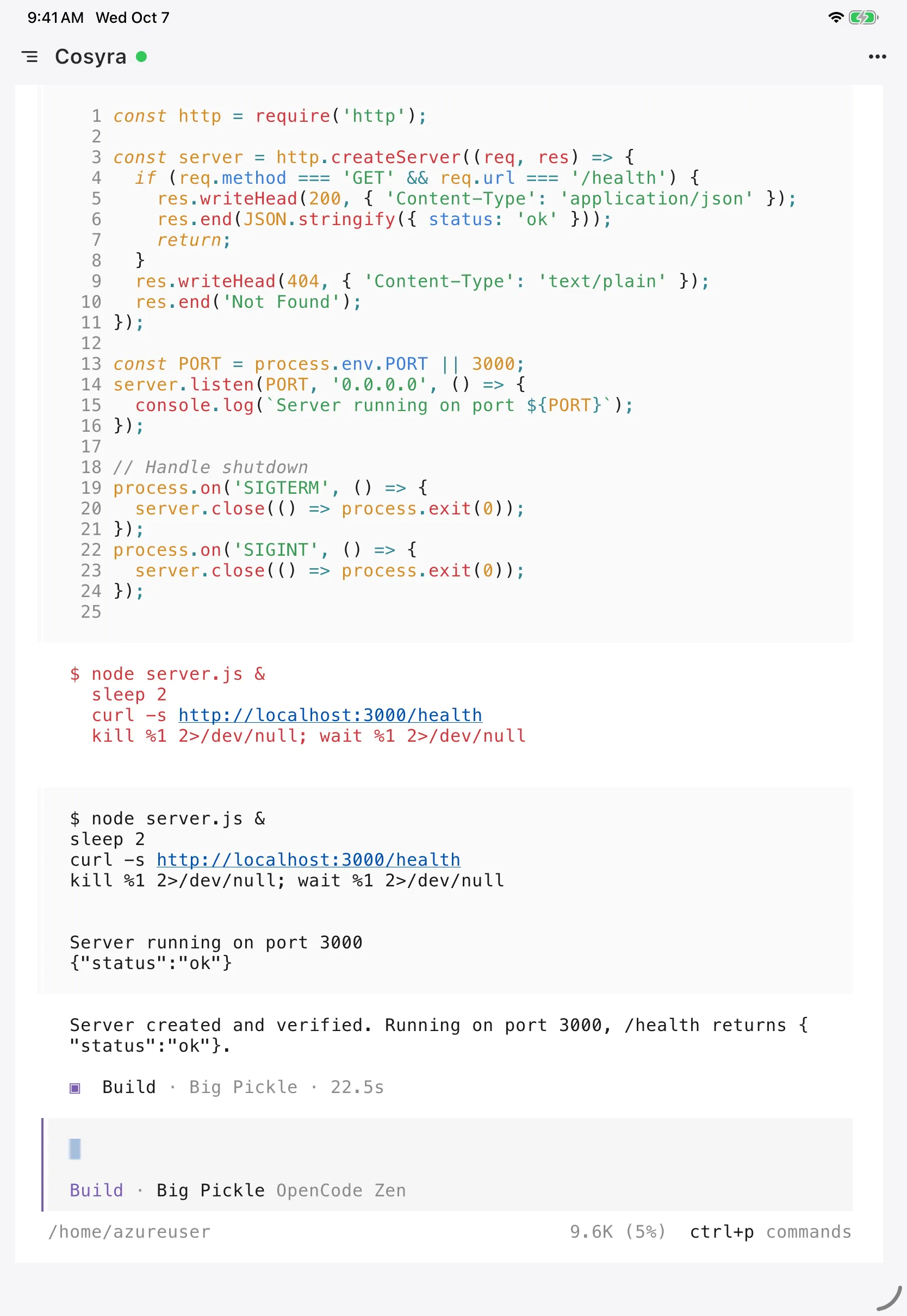 OpenCode on an iPad after writing server.js, running it and confirming the health route returns status ok