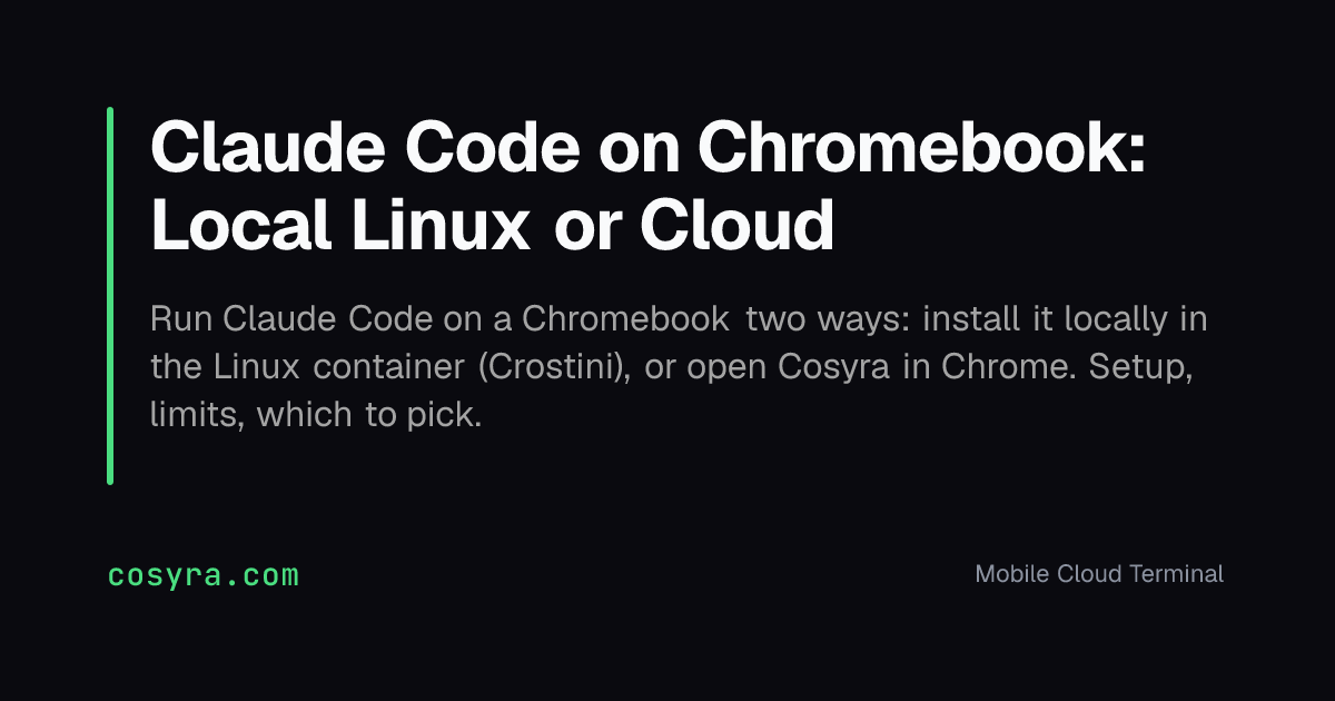 Claude Code on Chromebook: Local Linux or Cloud | Cosyra